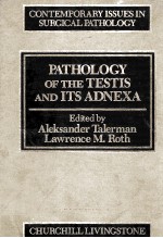 PATHOLOGY OF THE TESTIS <em>AND</em> <em>ITS</em> ADNEXA  CONTEMPORARY ISSUES <em>IN</em> SURGICAL PATHOLOGY <em>VOLUME</em> 7