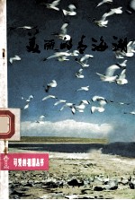 <em>美丽</em><em>的</em>青海湖