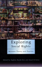 exploring social rights  between <em>theory</em> <em>and</em> <em>practice</em>