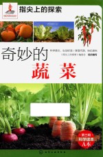 指尖<em>上</em>的探索  奇妙的蔬菜