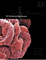 Vander's <em>human</em> physiology : <em>the</em> mechanisms <em>of</em> <em>body</em> function