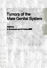 Tumors <em>of</em> <em>the</em> male genital <em>system</em>