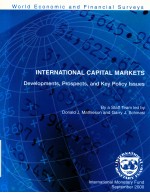 INTERNATIONAL CAPITAL MARKETS  <em>DEVELOPMENTS</em>