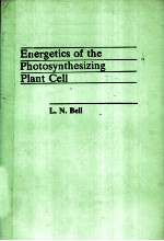 E<em>N</em>ERGETICS OF THE PHOTOSY<em>N</em>THSIZI<em>N</em>G PLA<em>N</em>T CELL