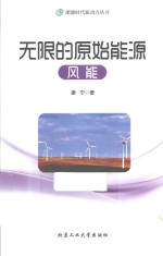 能源时代新动力丛书  无限的原始能源  风能