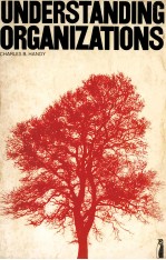 <em>UNDERSTANDING</em> ORGANIZATIONS