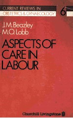 Aspects <em>of</em> care <em>in</em> labour /
