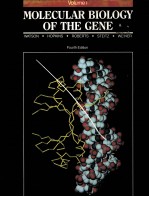 MOLECULAR  BIOLOGY OF <em>T</em>HE GENE  VOLUME 1  FOUR<em>T</em>H EDI<em>T</em>ION