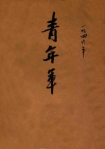 青年<em>军</em>