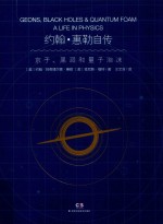 约翰  惠勒自传  京子、黑洞和量子泡沫