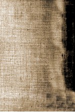 藤枝静<em>男</em>著作集 3