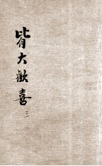 皆大欢喜  第3集  大医王专号