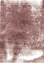 長與<em>善郎</em>·野上彌生子集
