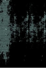 <em>The</em> Coronary Arterie<em>s</em>