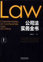 公<em>司法</em><em>实务</em>全书  上
