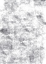 VASCULAR SURGERY  <em>PRINCIPLES</em> & TECHNIQUES