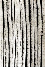流浪<em>の人</em>