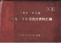 河<em>南省</em>二轻工业一九七三年各项统计资料汇编