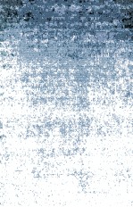 Adult <em>Language</em> acquisition:cross-linguistic perspectives <em>Volume</em> II The Results