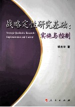 战略定性研究基础  实施与控制