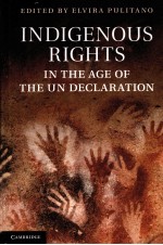 <em>In</em>digenous Rights <em>in</em> the <em>Age</em> <em>of</em> the un Declaration