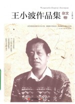 王<em>小波</em>作品集  杂文卷