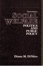Social Welfare Politics <em>and</em> Public Policy <em>Third</em> <em>Edition</em>
