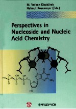 PERSPECTIVES <em>IN</em> NUCLEOSIDE AND NUCLEIC ACID CHEMISTRY