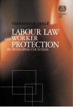 Labour law <em>and</em> worker protection <em>in</em> develop<em>in</em>g countries