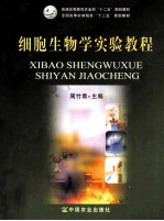 细胞生物学实验教程