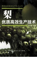 梨优质高效生产技术