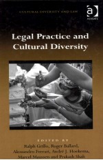 Legal <em>Practice</em> <em>and</em> Cultural Diversity