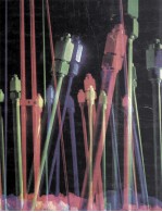COLLEGE CHEMISTRY:WITH QUALITATIVE <em>ANALYSIS</em> SEVENTH <em>EDITION</em>