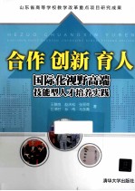 合作  创新  育人  国际化视野高端技能型人才培养实践