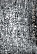 <em>安西</em>冬衞全集 4