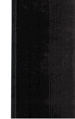 Beyond <em>the</em> Nanoworld:Quark<em>s</em>