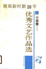 <em>湖南</em>新时期十年优秀文艺作品选  小说卷  下