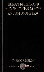 Human rights and <em>humanitarian</em> norms as customary law