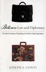 <em>B</em>ETWEEN LAW AND DIPLOMACY  THE SOCIAL CONTEXTS OF DISPUTING AT THE WORLD TRADE ORGANIZATION