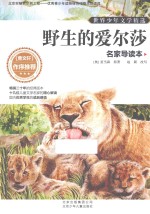 野生的爱尔莎