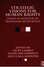 Strategic <em>Visions</em> for Human Rights
