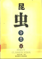 昆虫分类  下