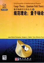 GAUGE THEORY；<em>QUANTUM</em> FIELD THEORY