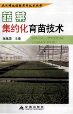 蔬菜集约化育苗<em>技术</em>
