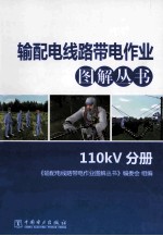 输配电线路带电作业图解丛书  110kV分册