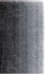 <em>THE</em> CHOM<em>S</em>KYAN TURN