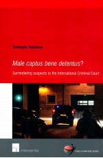 MALE CAPTUS BENE DETANTUS SURRENDERING SUSPECTS TO <em>THE</em> INTERNATIONAL CRIMINAL%COURT