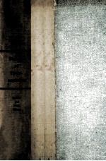 Biology <em>of</em> pyelonephritis