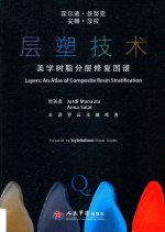 层塑<em>技术</em>  美学树脂分层修复图谱