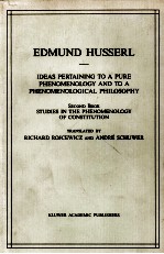 Studies <em>in</em> the phenomenology <em>of</em> constitution